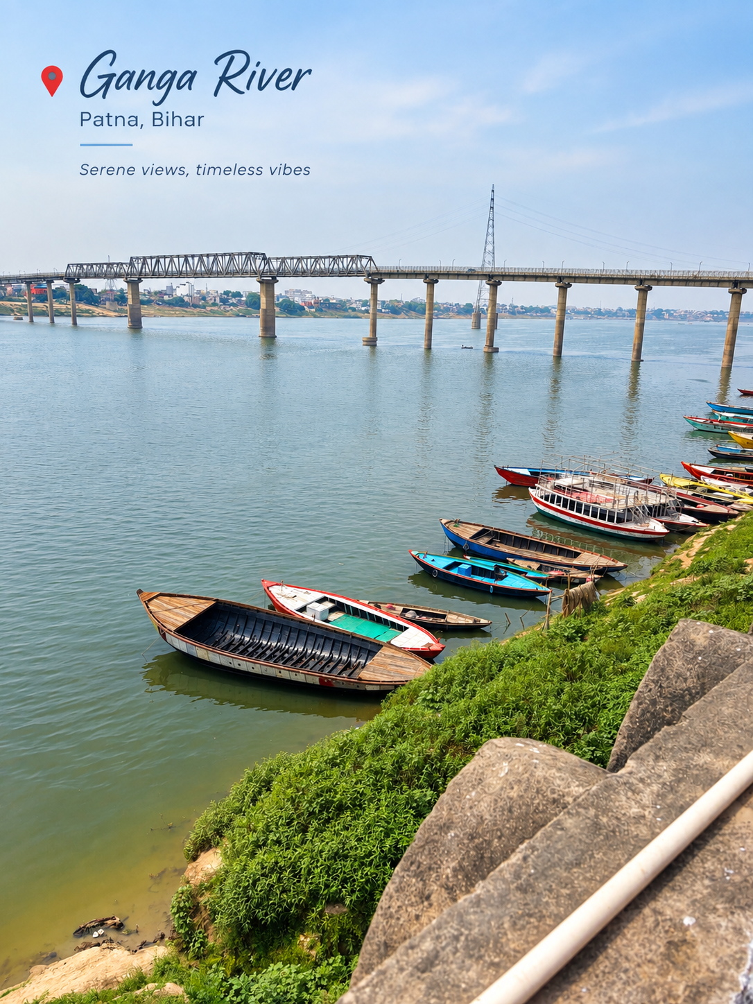 Suzu Travels