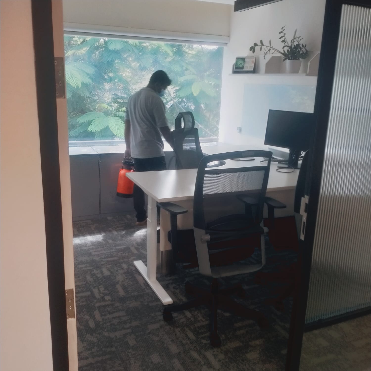 Acuity Pest Control Services