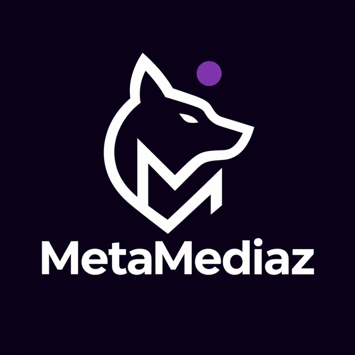 MetaMediaz